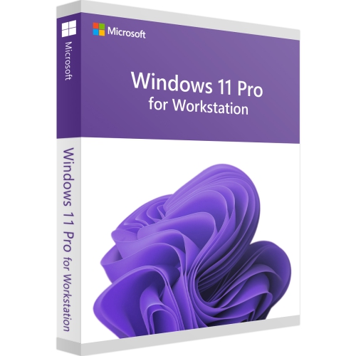 Microsoft Windows 11 Pro para estaciones de trabajo - Descarga